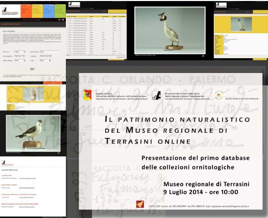 terrasini museo-online 2